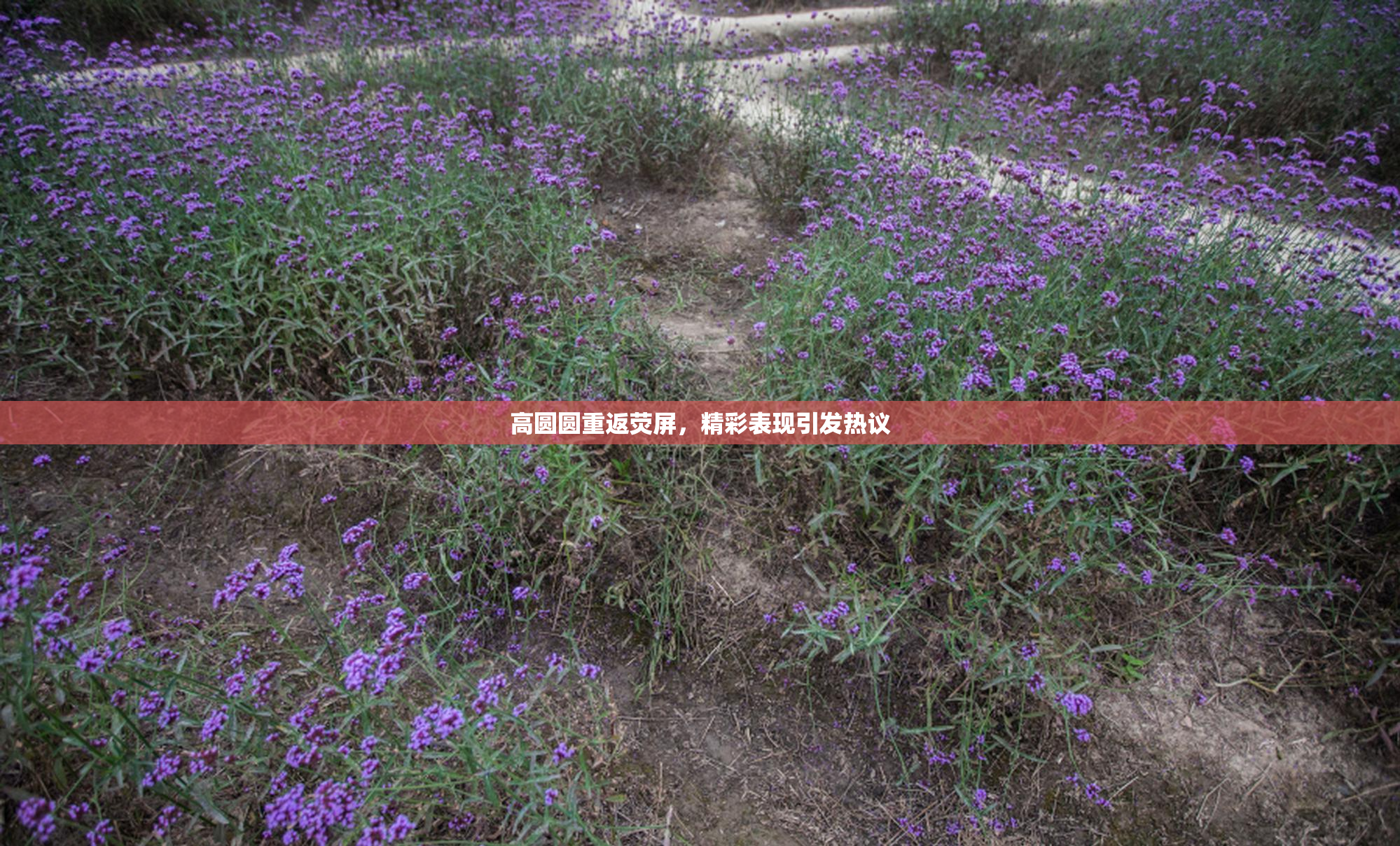 高圆圆重返荧屏，精彩表现引发热议