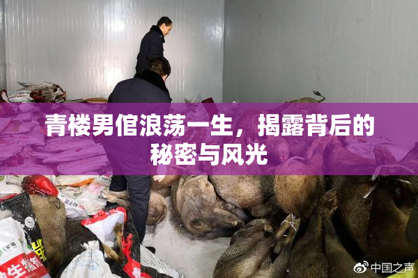 青楼男倌浪荡一生，揭露背后的秘密与风光