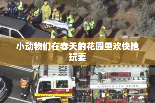 小动物们在春天的花园里欢快地玩耍
