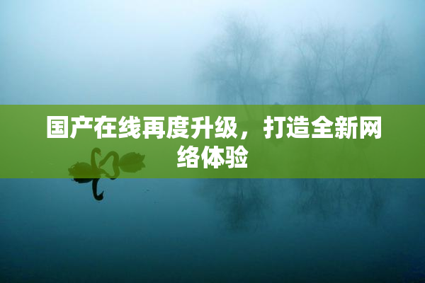 国产在线再度升级，打造全新网络体验