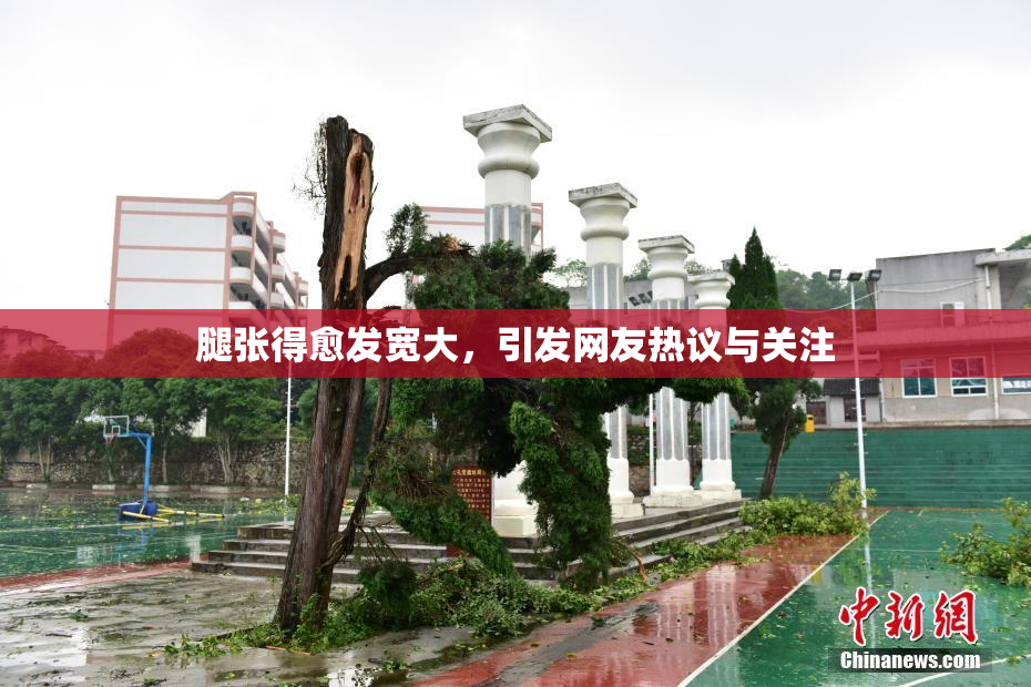 腿张得愈发宽大，引发网友热议与关注