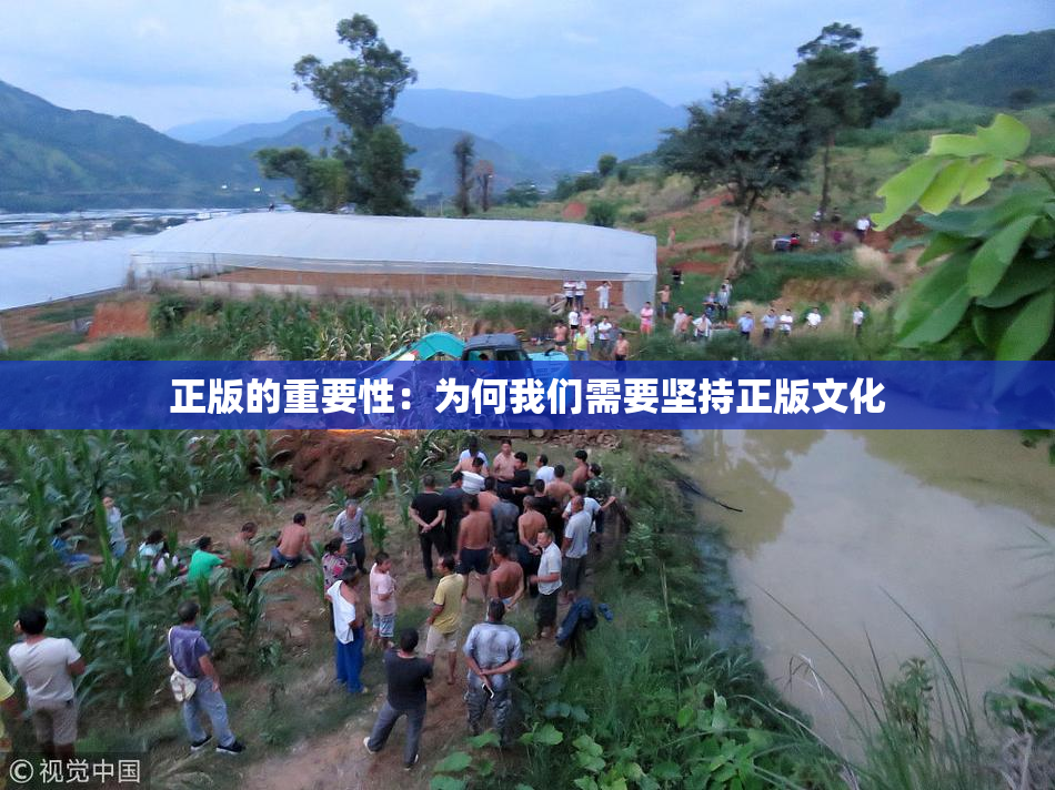 正版的重要性：为何我们需要坚持正版文化