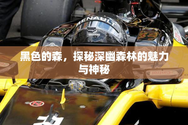 黑色的森，探秘深幽森林的魅力与神秘