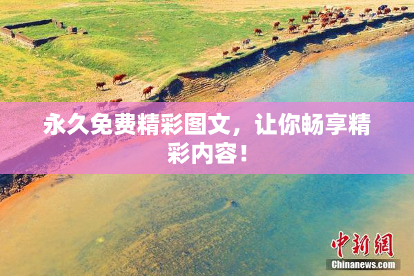 永久免费精彩图文，让你畅享精彩内容！