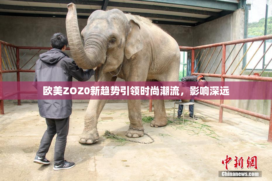 欧美ZOZ0新趋势引领时尚潮流，影响深远