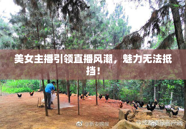 美女主播引领直播风潮，魅力无法抵挡！