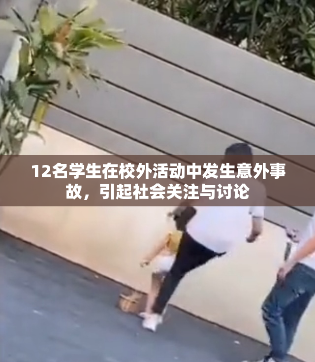 12名学生在校外活动中发生意外事故，引起社会关注与讨论