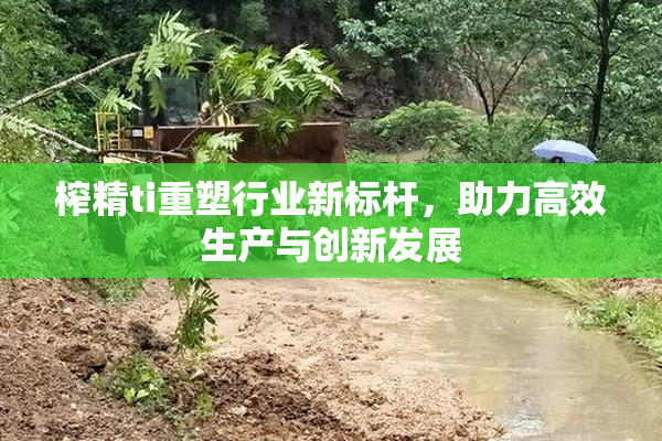 榨精ti重塑行业新标杆，助力高效生产与创新发展