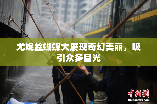 尤妮丝蝴蝶大展现奇幻美丽，吸引众多目光