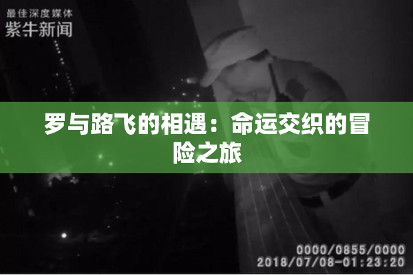 罗与路飞的相遇：命运交织的冒险之旅