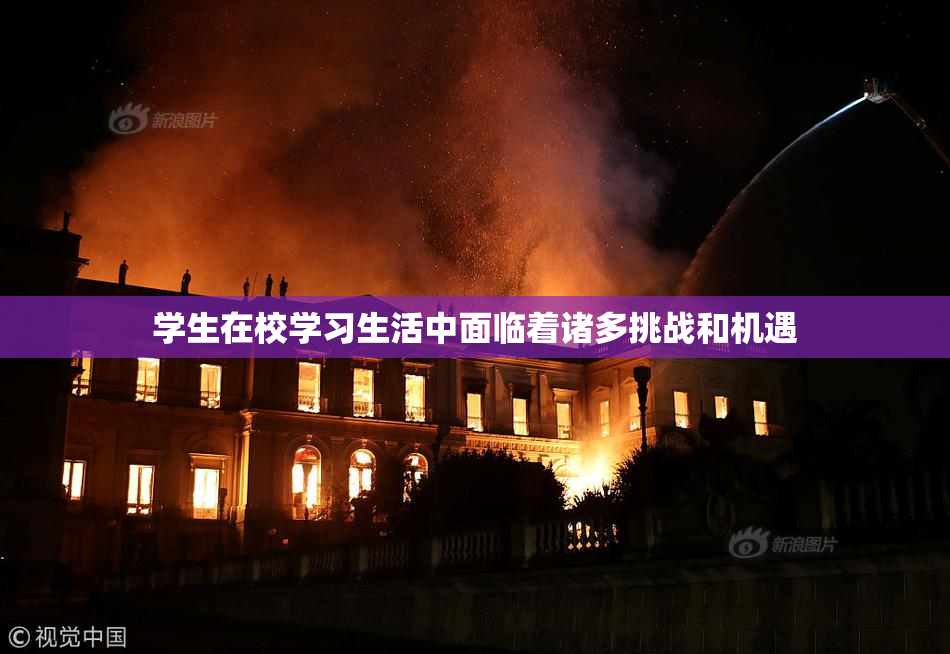 学生在校学习生活中面临着诸多挑战和机遇