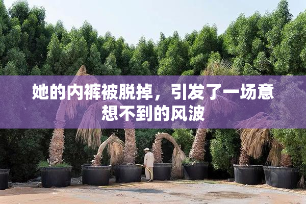 她的内裤被脱掉，引发了一场意想不到的风波