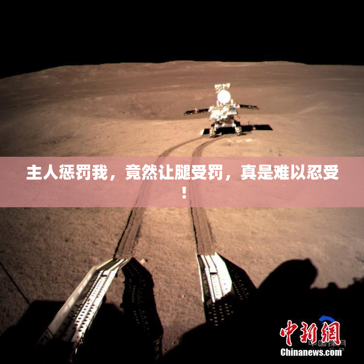 主人惩罚我，竟然让腿受罚，真是难以忍受！