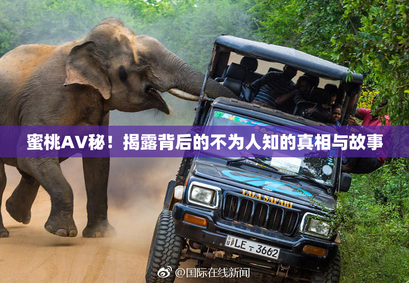 蜜桃AV秘！揭露背后的不为人知的真相与故事
