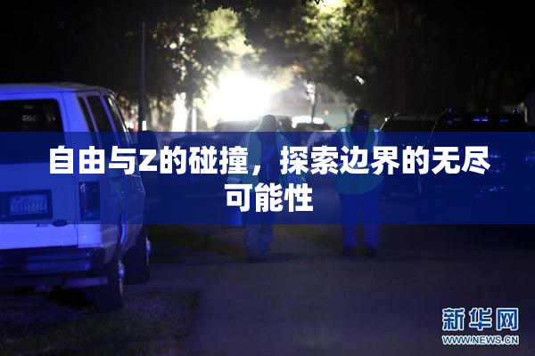 自由与Z的碰撞，探索边界的无尽可能性