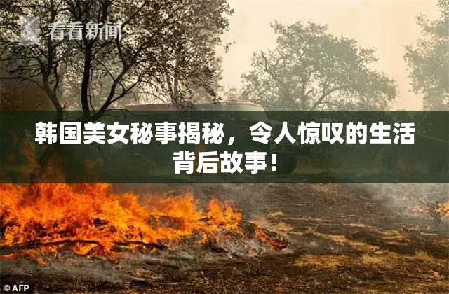 韩国美女秘事揭秘，令人惊叹的生活背后故事！