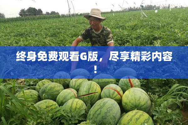 终身免费观看G版，尽享精彩内容！