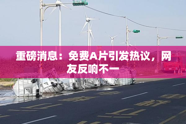 重磅消息：免费A片引发热议，网友反响不一