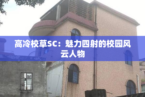 高冷校草SC：魅力四射的校园风云人物
