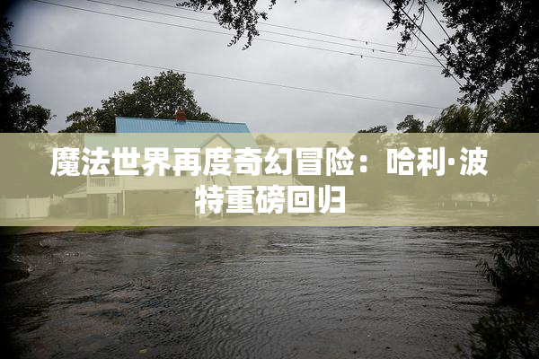 魔法世界再度奇幻冒险：哈利·波特重磅回归