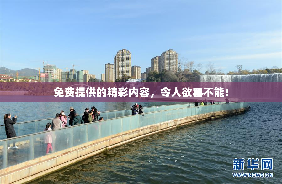 免费提供的精彩内容，令人欲罢不能！