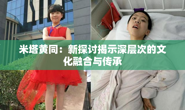 米塔黄同：新探讨揭示深层次的文化融合与传承