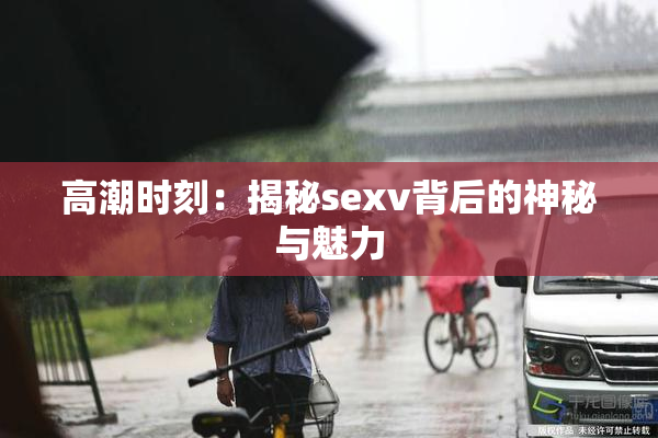 高潮时刻：揭秘sexv背后的神秘与魅力