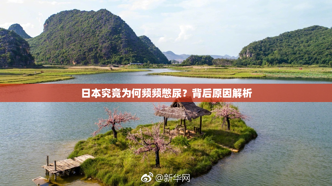 日本究竟为何频频憋尿？背后原因解析