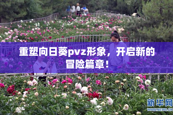重塑向日葵pvz形象，开启新的冒险篇章！