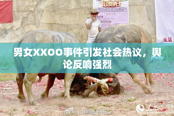 男女XXOO事件引发社会热议，舆论反响强烈