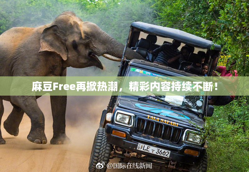 麻豆Free再掀热潮，精彩内容持续不断！