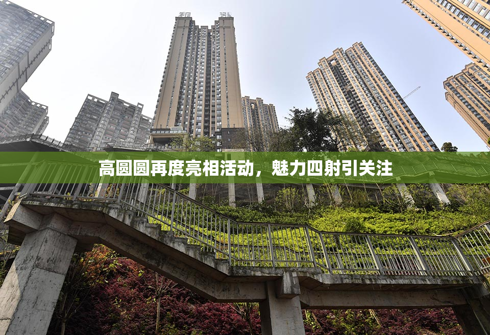 高圆圆再度亮相活动，魅力四射引关注