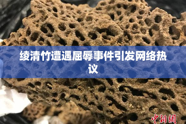 绫清竹遭遇屈辱事件引发网络热议