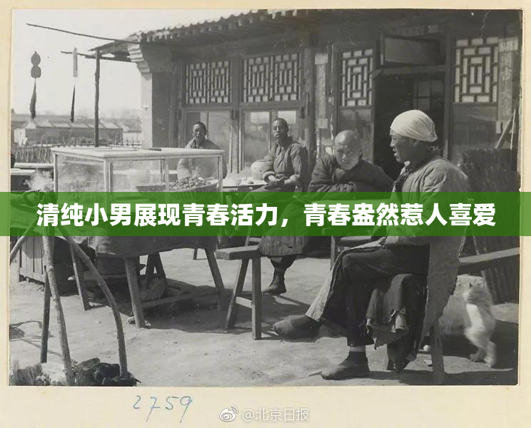 清纯小男展现青春活力，青春盎然惹人喜爱