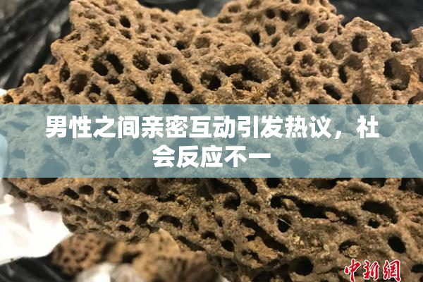 男性之间亲密互动引发热议，社会反应不一