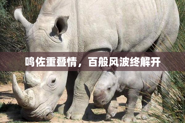 鸣佐重叠情，百般风波终解开