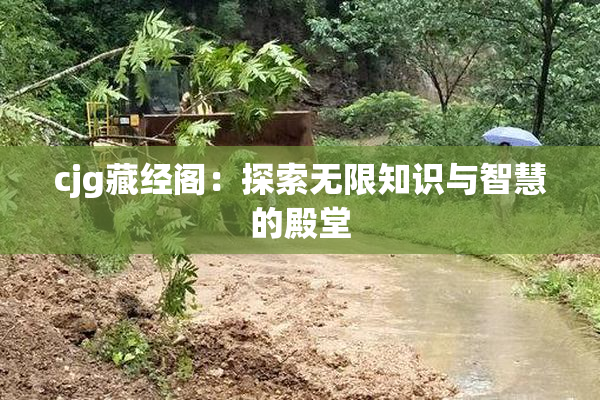 cjg藏经阁：探索无限知识与智慧的殿堂