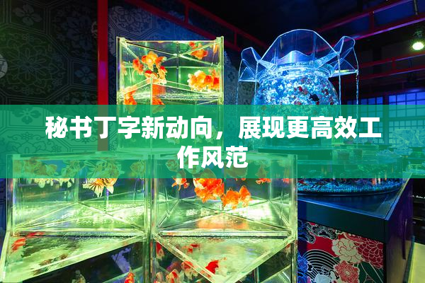 秘书丁字新动向，展现更高效工作风范