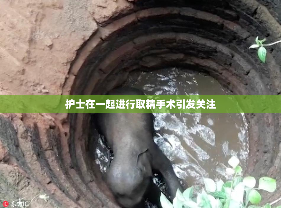 护士在一起进行取精手术引发关注