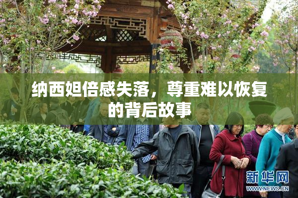 纳西妲倍感失落，尊重难以恢复的背后故事
