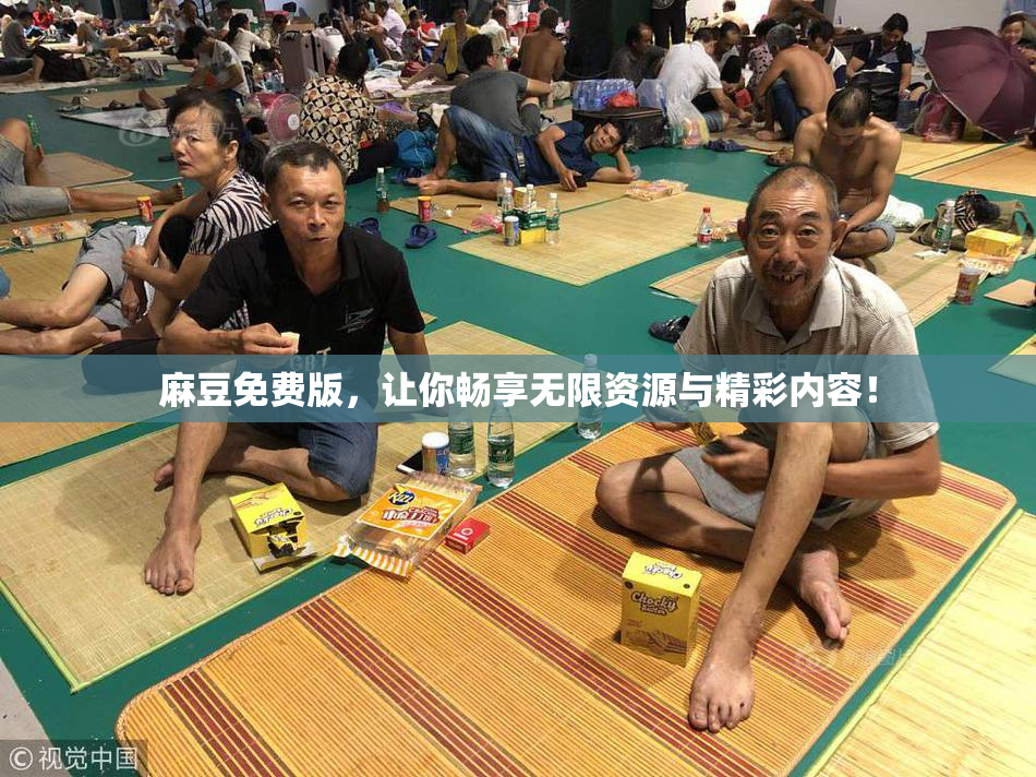 麻豆免费版，让你畅享无限资源与精彩内容！