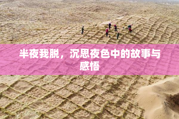 半夜我脱，沉思夜色中的故事与感悟