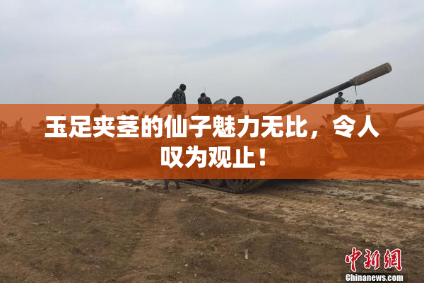 玉足夹茎的仙子魅力无比，令人叹为观止！
