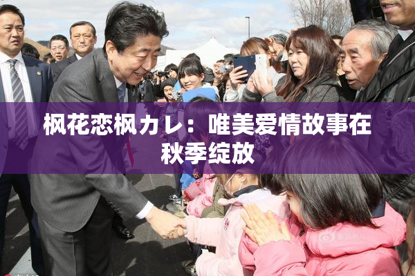 枫花恋枫カレ：唯美爱情故事在秋季绽放