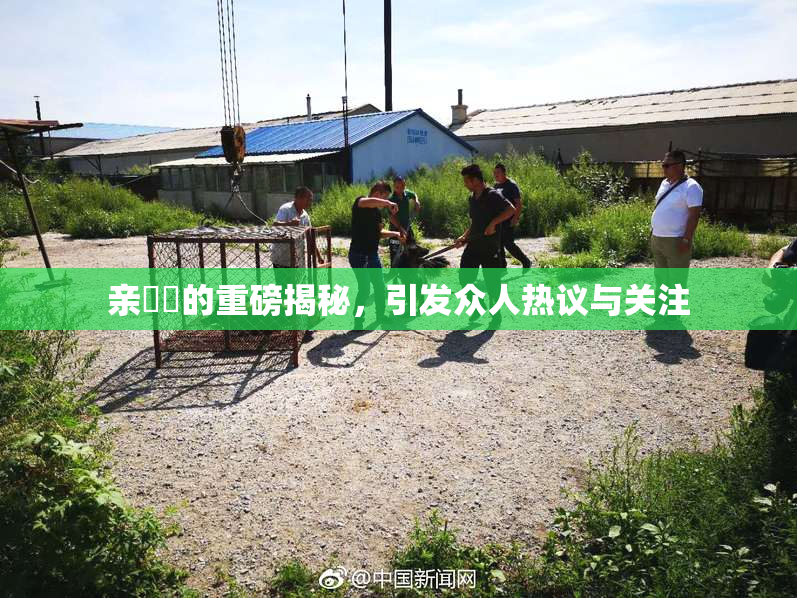亲妺妺的重磅揭秘，引发众人热议与关注