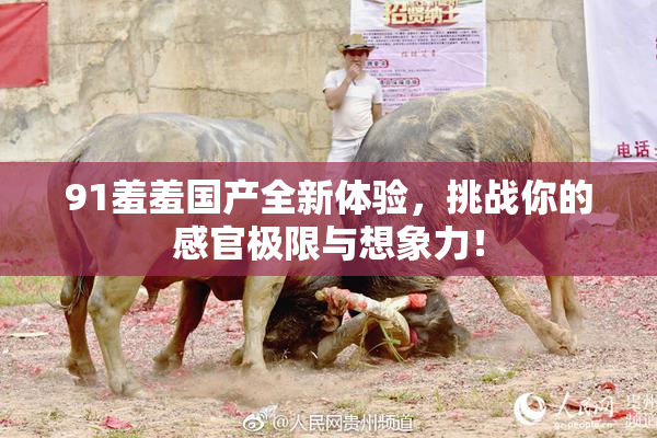 91羞羞国产全新体验，挑战你的感官极限与想象力！
