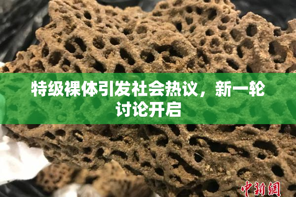 特级裸体引发社会热议，新一轮讨论开启