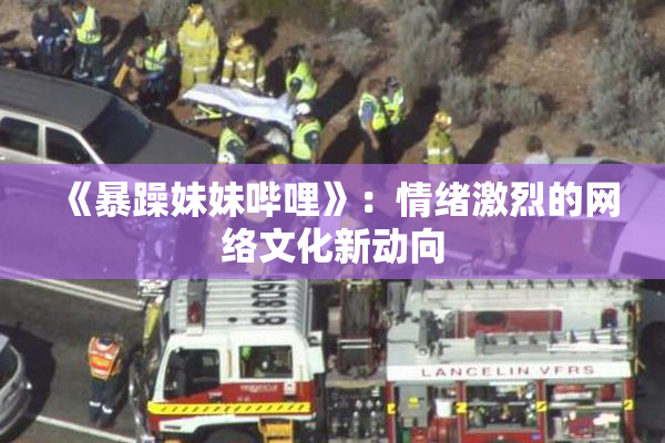 《暴躁妹妹哔哩》：情绪激烈的网络文化新动向