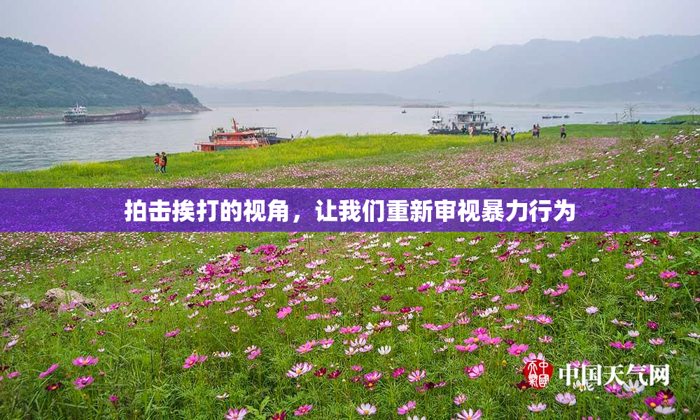 拍击挨打的视角，让我们重新审视暴力行为