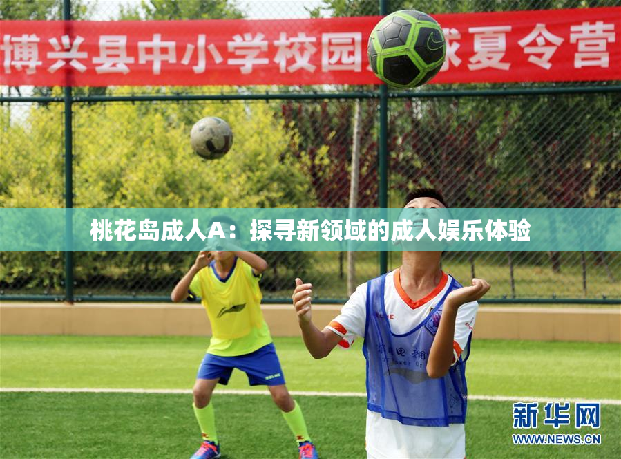 桃花岛成人A：探寻新领域的成人娱乐体验